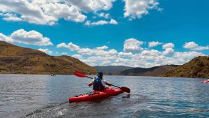 Kayak Tours